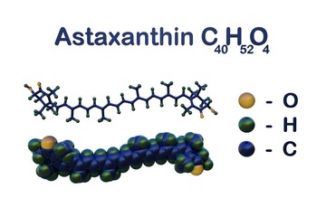 Structural chemical formula and molecular model of astaxanthin or ovoester. It is used as antioxidant food supplement (E161j). Scientific background. 3d illustration
