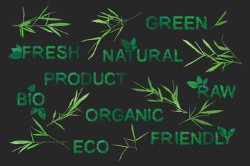 Eco, organic Word art. Green basis elements for design