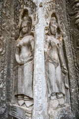 Obraz premium Ruins Ta Prohm temple and Banyan Tree Roots, Angkor Wat complex, Siem Reap, Cambodia.