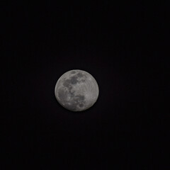 Full moon in the night sky, Great super moon in sky
