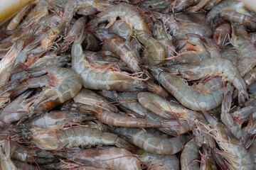 raw shrimps in the local marketplace
