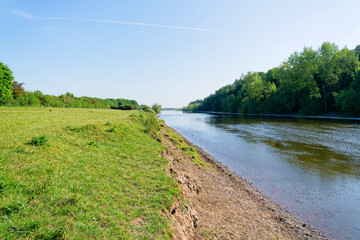 Lush meadow beside the River Trent in Gunthorpe