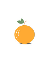 vector illustration of an orange fruit