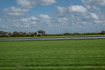 Weiden in Nord Holland