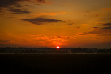The sun rises above the horizon in Russian countryside. Dramatic summer landscape of golden early morning sun rising over endless meadow covered with wild greenery and flowers, bushes and lush trees.