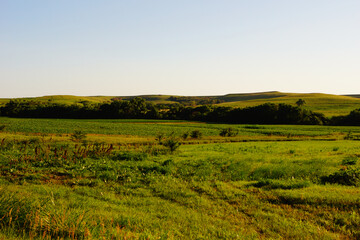 Naklejka premium Kansas hills and pasture land