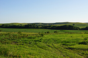green fields in the flint hills of kansas