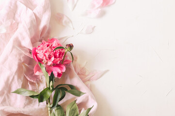 Peony Flat lay. Beautiful peony flower for any holiday. 