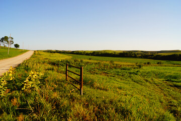 Fototapeta na wymiar Kansas landscape in the summer