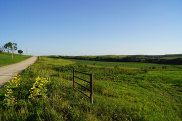 rural landscape with a fence and gravel road