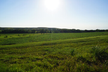 landscape with green grass and blue sky in Kansas