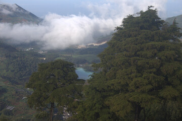 fog in the mountains