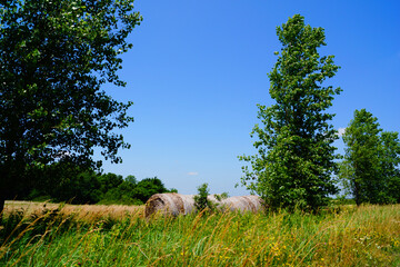 old hay bales in the summer sun in Kansas