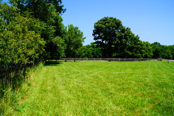 green meadow in the trees with wooden fence