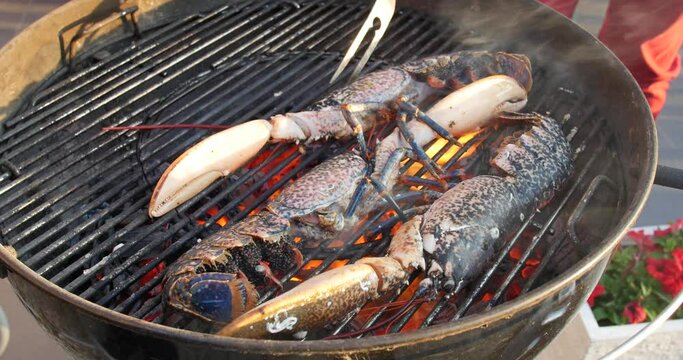 Sizzling hot cooking on the griddle pan. Delicious grilled halved Lobster with butter. Fresh, juicy and tasty french blue Lobster or Crayfish.