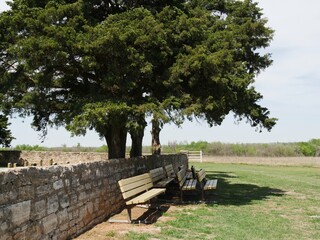 Bench by a wall under the shade of huge trees