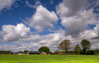 Obraz premium Landscape near Bornerbroek