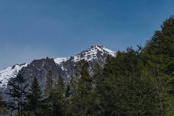 Snowy mountain with green pine forest