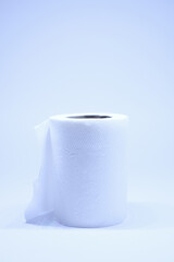 roll of toilet paper