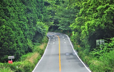 山道のカーブ