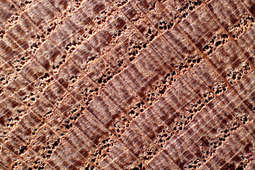 Fototapeta premium wood texture background