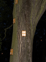 A tree with a decoration in the form of tiny windows in a park in Toruń, Poland © Janina