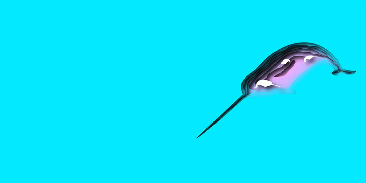 Pesce Narvalo illustrazione su sfondo celeste.