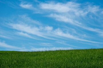 Fototapeta na wymiar Blue sky with clouds and grassland