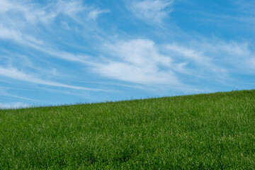 Blue sky with clouds and grassland