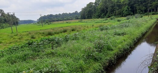 Nature, kinginimattom, kerala