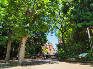 東京　井の頭公園