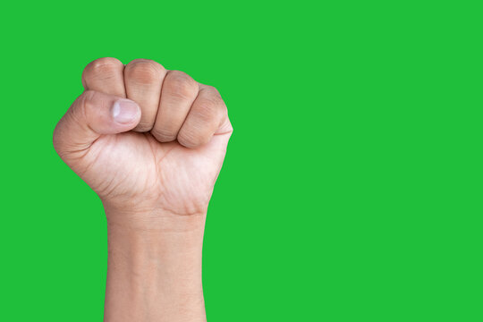 Hand of an Asian man forms Fist isolated on a green screen background.