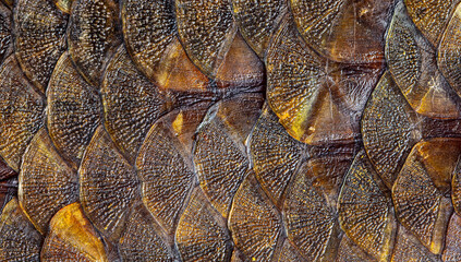 Smoked fish scales as background. © schankz