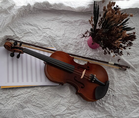 Fototapeta na wymiar Top view of violin and bow put beside dried flower pot,prepare for practice,blurry light around