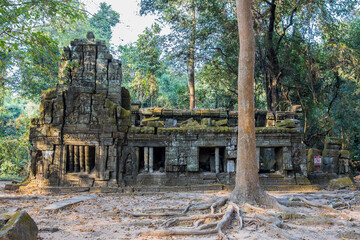 Ruins Ta Prohm temple and Banyan Tree Roots, Angkor Wat complex, Siem Reap, Cambodia.