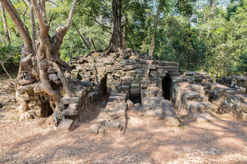 Ruins Ta Prohm temple and Banyan Tree Roots, Angkor Wat complex, Siem Reap, Cambodia.