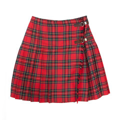Short plaid skirt isolated on white background