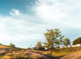 Fototapeta premium autumn landscape with a road