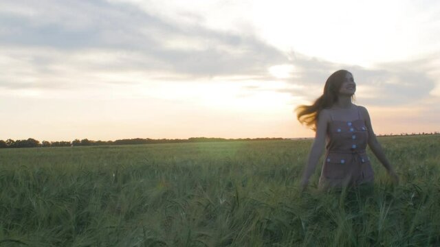 girl walking in field stroking spikelets of wheat with hand, young woman enjoying summer nature at sunset, concept of harmony man and nature, healthy lifestyle