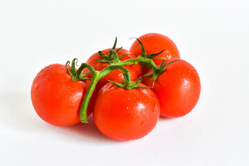 Tomatoes on a branch with water drops isolated on a white background. place for text