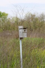 The old wooden birdhouse on the metal pole.