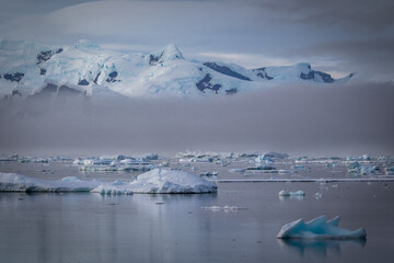 Icebergs along the Grandidier Channel, Antarctica
