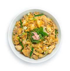 Oyakodon Chicken with Egg,spring onions ontop Rice