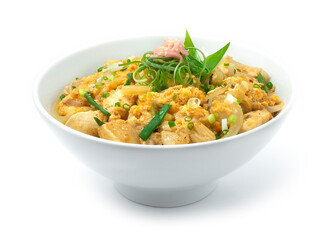 Oyakodon Chicken with Egg,spring onions ontop Rice