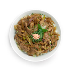 Yakibuta Don Slice Pork, onions ontop Rice