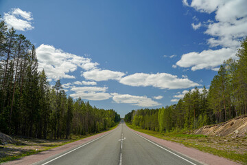 
direct road in the middle of coniferous forest in the afternoon and blue sky