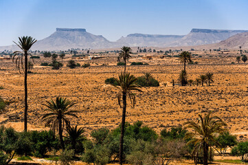 North Africa. Tunisia. Surroundings of Tataouine. Desert