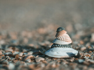 Close-up of a zen-style standing beach shells  on the sandy beach in sunny day. Copy space, holidays and summer is coming concept. Stack of Sea shell at the beach with sea on background