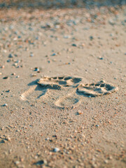 Two well-formed human footprints in the sand