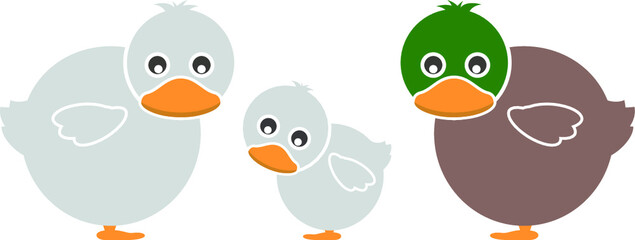 Set of Farm Animal - Duck, Vector illustration